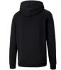 Puma teamGOAL Casuals Hoodie - Puma Black