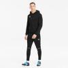 Puma teamGOAL Casuals Hoodie - Puma Black