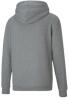 Puma teamGOAL Casuals Hoodie - Medium Grey Heather