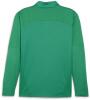 Puma teamFINAL 1/4 Zip Training Top - Sport Green