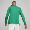 Puma teamFINAL 1/4 Zip Training Top - Sport Green