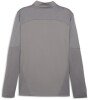 Puma teamFINAL 1/4 Zip Training Top - Cast Iron