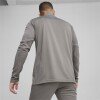 Puma teamFINAL 1/4 Zip Training Top - Cast Iron