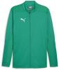 Puma teamFINAL Training Jacket - Sport Green