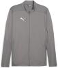 Puma teamFINAL Training Jacket - Cast Iron