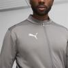 Puma teamFINAL Training Jacket - Cast Iron