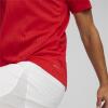 Puma teamFINAL Training Jersey - PUMA Red