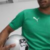 Puma teamFINAL Training Jersey - Sport Green