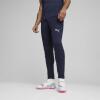 Puma teamFINAL Training Pants - Navy