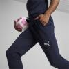 Puma teamFINAL Training Pants - Navy