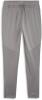 Puma teamFINAL Training Pants - Grey