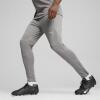 Puma teamFINAL Training Pants - Grey