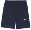 Puma teamFINAL Training Shorts - Navy