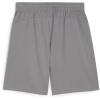 Puma teamFINAL Training Shorts - Grey