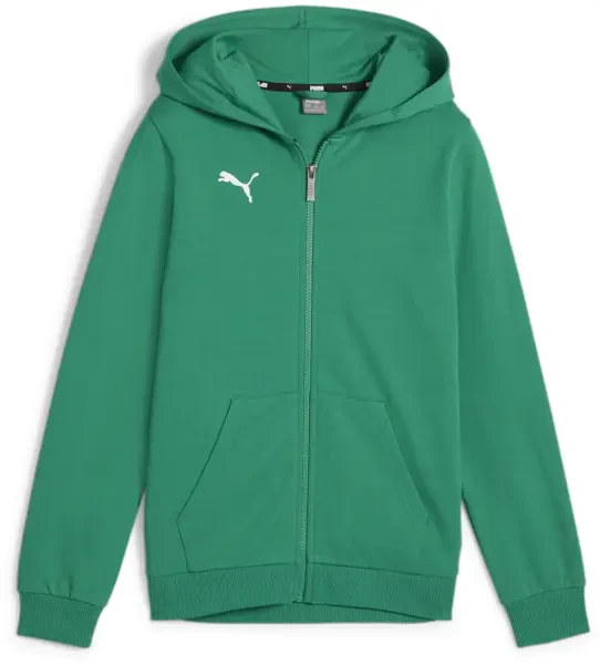 Puma teamGOAL Casuals Hooded Jacket - Sport Green