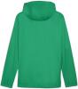 Puma teamFINAL All Weather Jacket - Sport Green