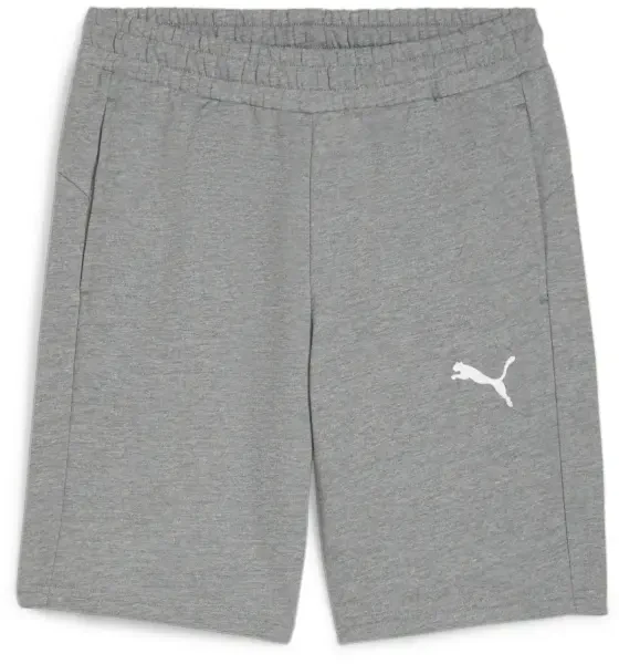 Puma teamGOAL Casuals Shorts - Grey