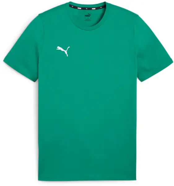 Puma teamGOAL Casuals T-Shirt - Sport Green