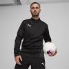 Puma teamGOAL Training 1/4 Zip Top - PUMA Black