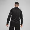 Puma teamGOAL Training 1/4 Zip Top - PUMA Black