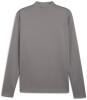 Puma teamGOAL Training 1/4 Zip Top - Shadow Grey