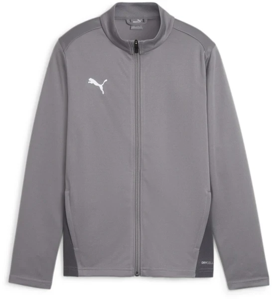 Puma teamGOAL Training Jacket - Shadow Grey