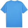 Puma teamGOAL Jersey - Electric Blue Lemonade