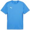 Puma teamGOAL Jersey - Electric Blue Lemonade