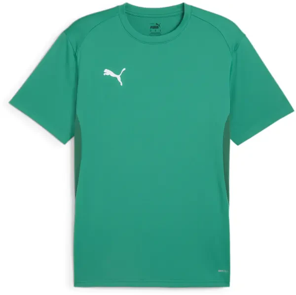 Puma teamGOAL Jersey - Sport Green / White