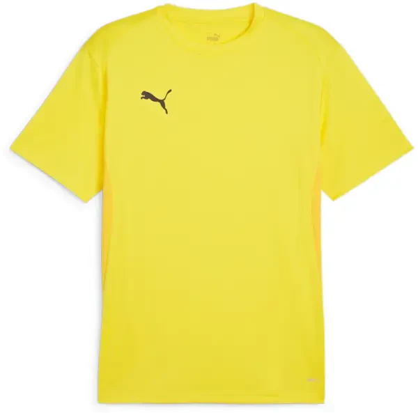 Puma teamGOAL Jersey - Faster Yellow / Black