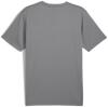 Puma teamGOAL Jersey - Shadow Grey