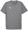 Puma teamGOAL Jersey - Shadow Grey