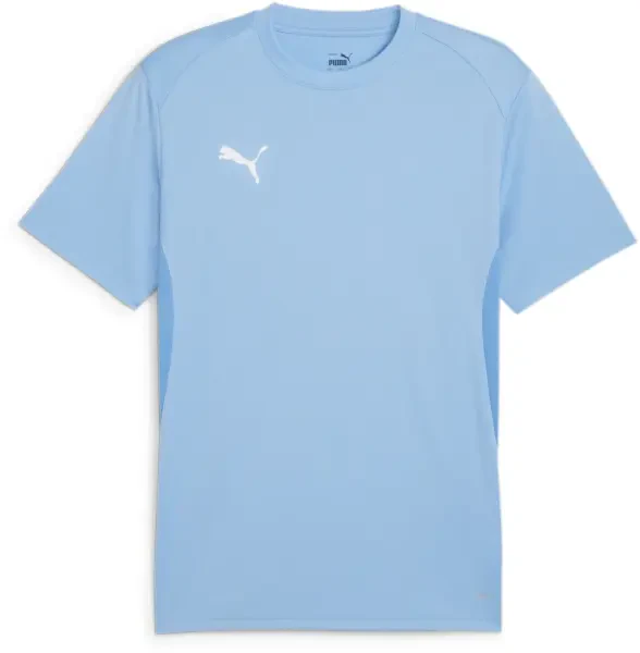 Puma teamGOAL Jersey - Team Light Blue