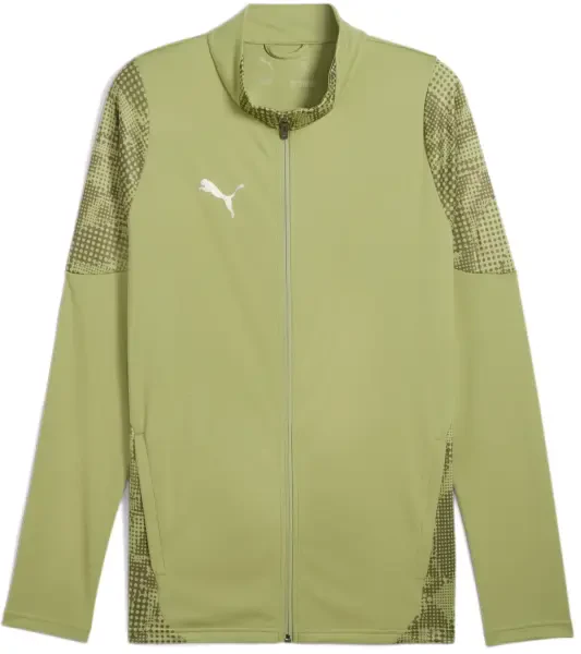 Puma teamCUP Training Jacket - Calming Green / Olive