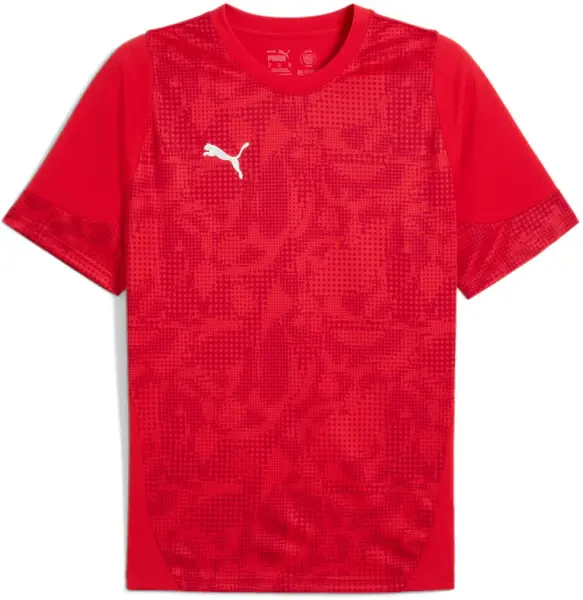 Puma teamCUP Training Jersey - Red / Silver