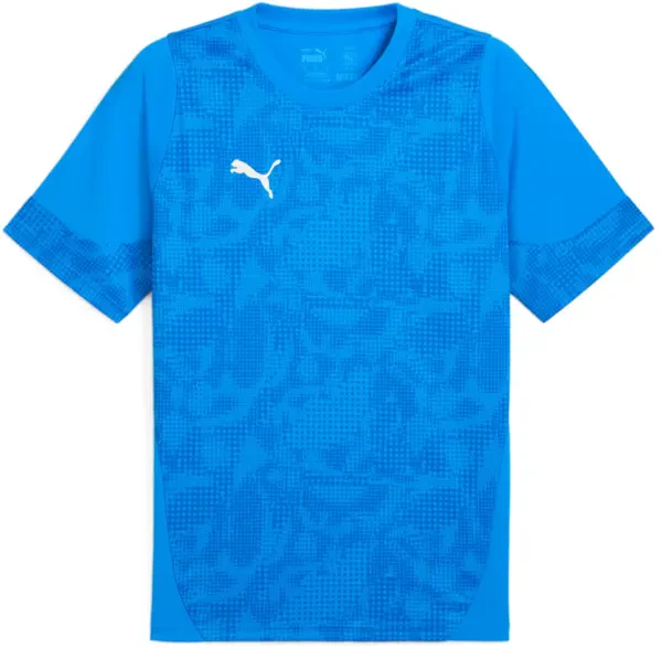 Puma teamCUP Training Jersey - Electro Royal / Silver