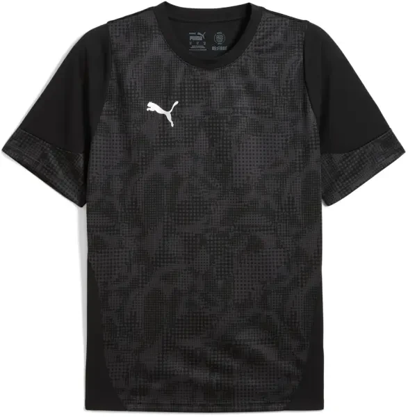 Puma teamCUP Training Jersey - Black/ Silver