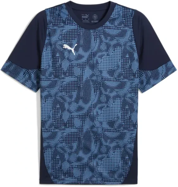 Puma teamCUP Training Jersey - Navy / Silver