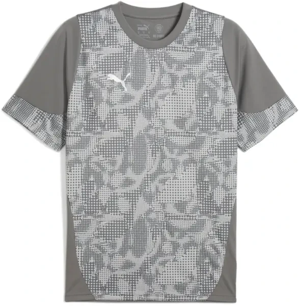 Puma teamCUP Training Jersey - Medium Grey / Silver