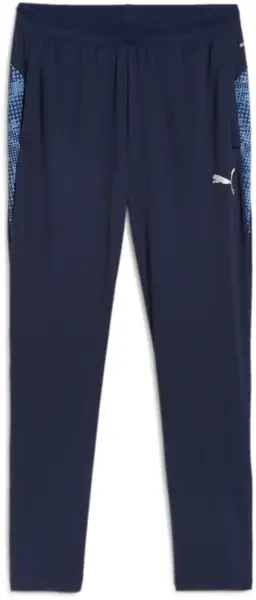 Puma teamCUP Training Pants - Navy