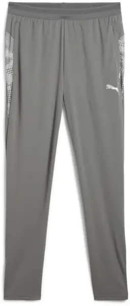 Puma teamCUP Training Pants - Medium Grey