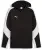 Puma teamEVOSTRIPE Hooded Jacket - Black