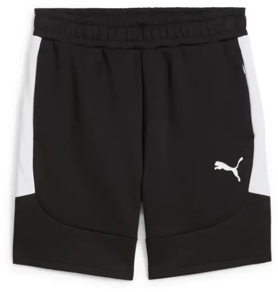 Puma teamEVOSTRIPE Training Shorts - Black