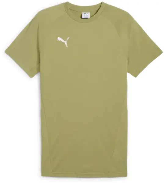 Puma teamEVOSTRIPE T-Shirt - Calming Green