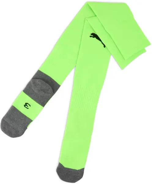 Puma teamLIGA Core Socks - Green Glare