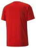 Billericay Town FC Away Shirt 2024
