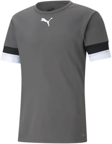 Puma teamRISE Jersey - Smoked Pearl