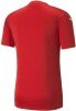 Puma teamGLORY 23 Jersey - Puma Red