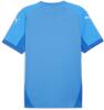 Puma teamFINAL Jersey - Ignite Blue