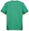 Puma teamFINAL Jersey - Sport Green